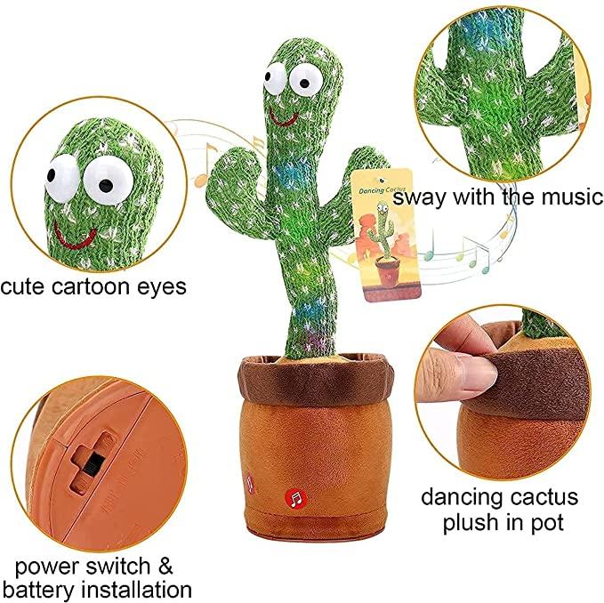 talking cactus